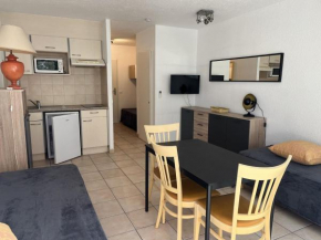 Studio climatisé 2/3 pers. - Proche plage, centre-ville, Wi-Fi gratuit - FR-1-466A-19